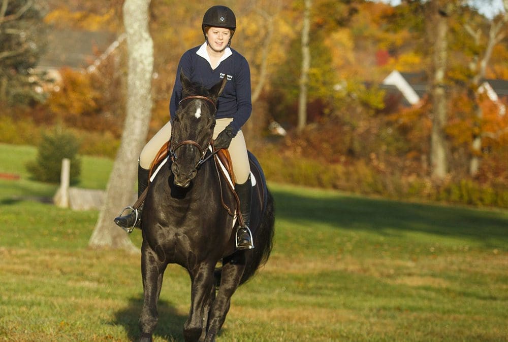 What do you want to do?