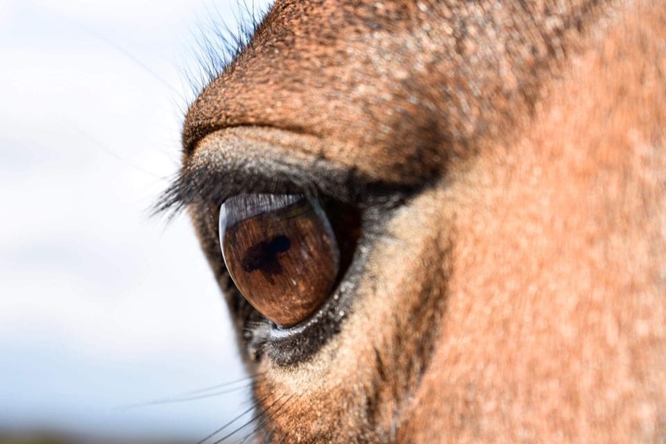 So what are you afraid of?