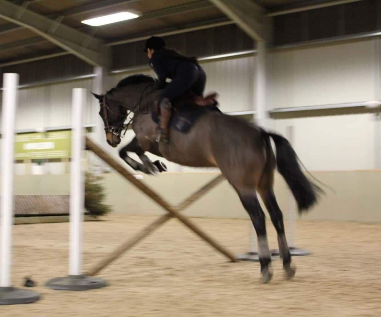 Rider Confidence Rider Confidence