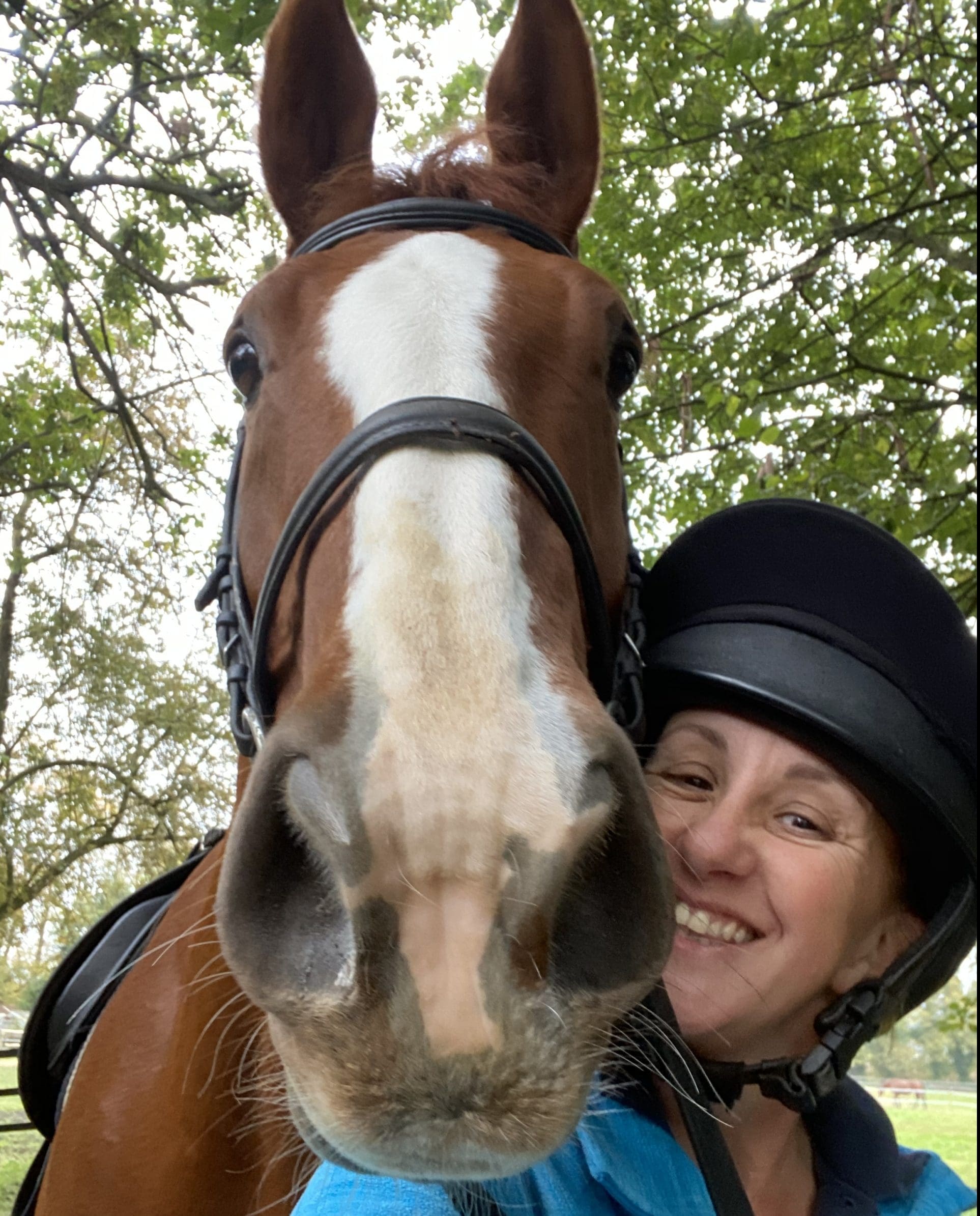 IMG_8587 Rider Confidence