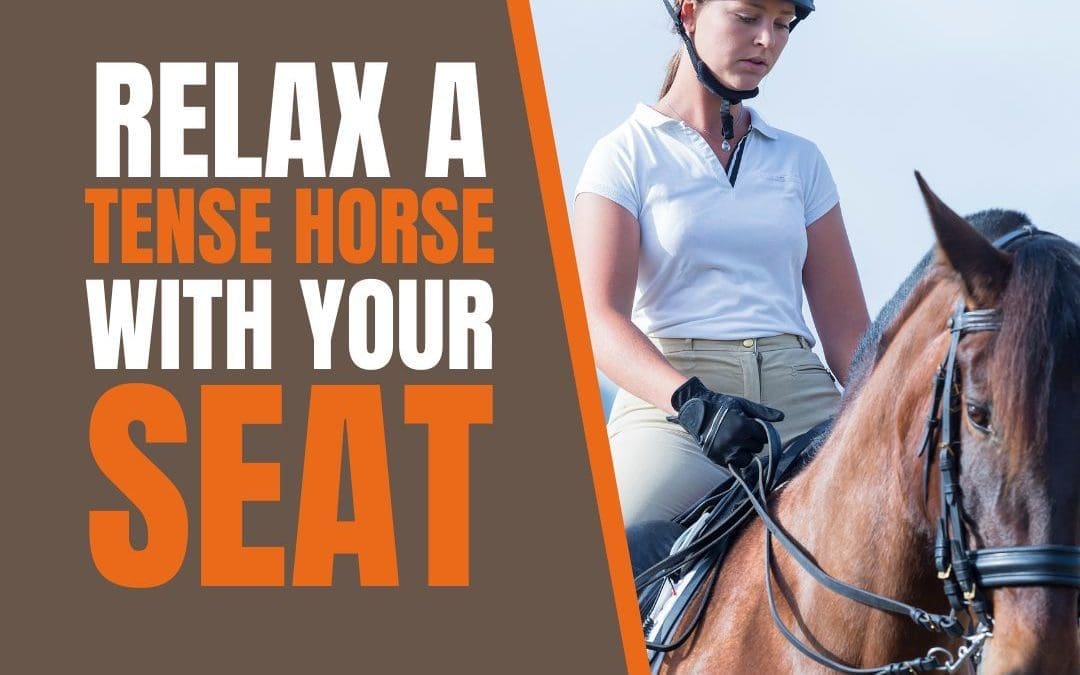 Exercise to relax a tense horse with your seat