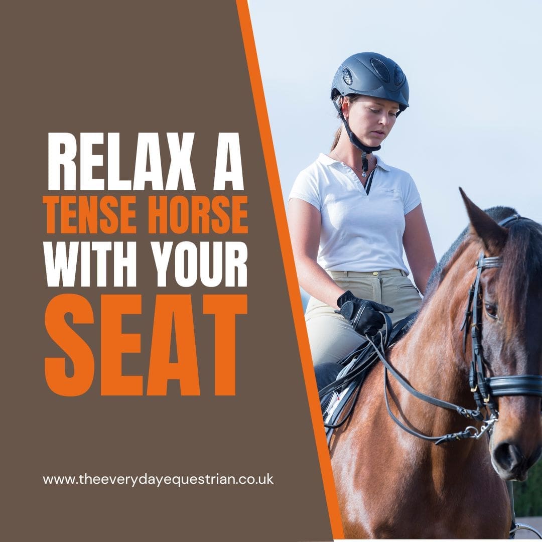 Relax a tense horse with your seat Relax a tense horse