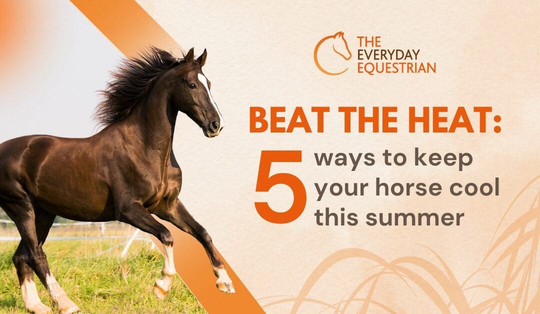 Beat the heat: 5 ways to keep your horse cool this summer