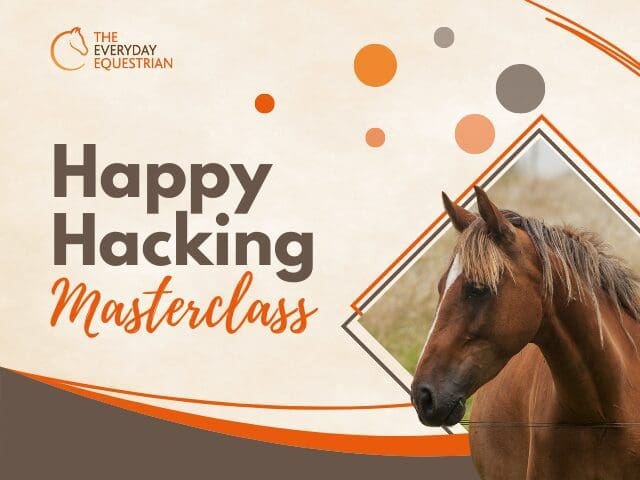 Back in the Saddle: Rebuild Your Riding Confidence After A Fall From Your Horse