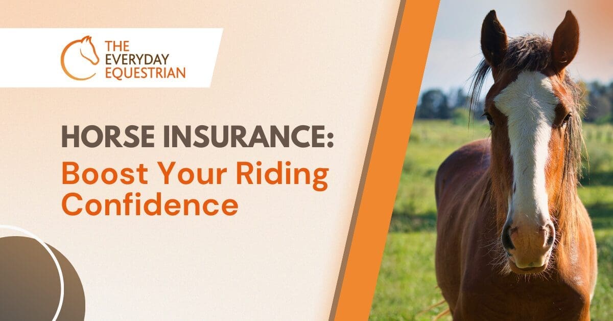 Horse Insurance Boost Your Riding Confidence Horse Insurance