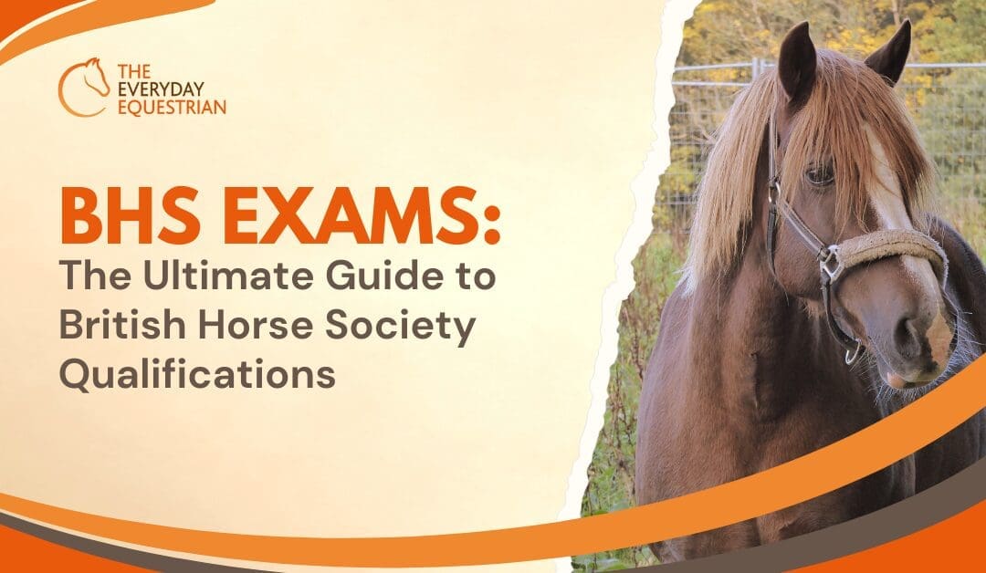 BHS Exams – The Ultimate Guide to British Horse Society Qualifications