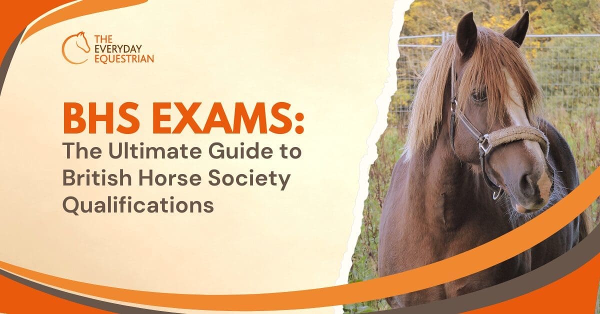 BHS Exams The Ultimate Guide to British Horse Society Qualifications