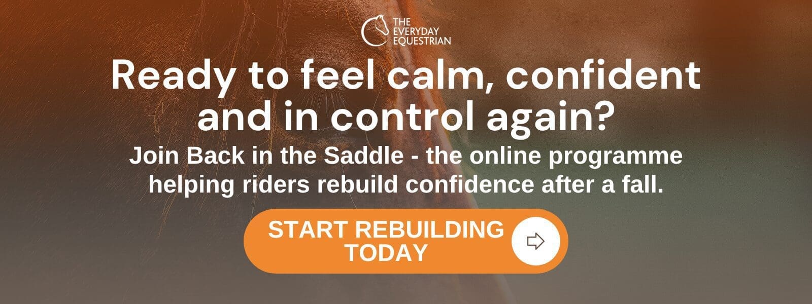 4_10-2025-CAAF-Blogs-CTA-2 confidence after a fall from your horse