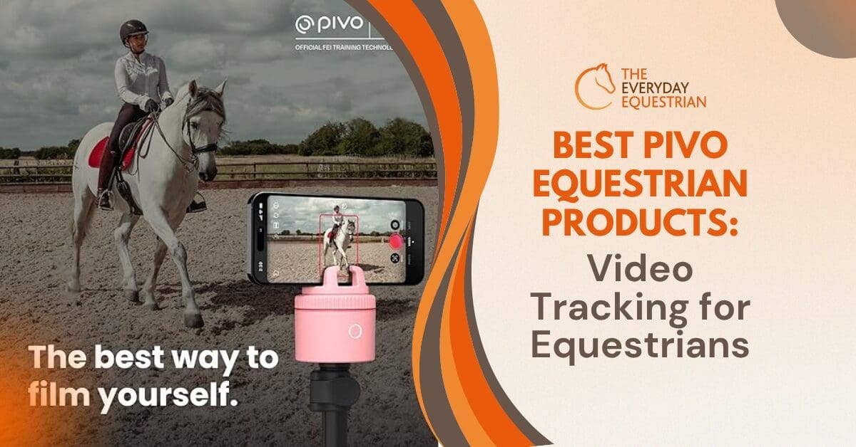 Best Pivo Equestrian